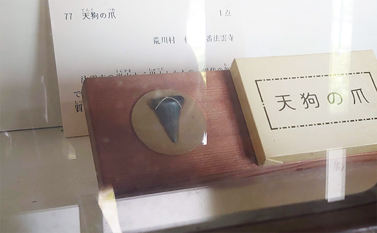 画像：法雲寺の天狗の爪